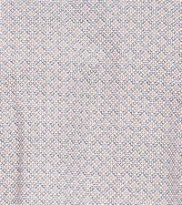 WINSLOW DRESS SHIRT Spread Collar