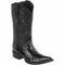 Ostrich Pointed Toe Cowboy Boots