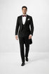 (34R, 38S) Classic Full Dress Tuxedo Tails 2 Piece Regular Fit In Black