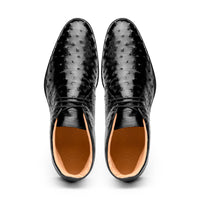 Zelli Marco Genuine Ostrich Quill Lace-Up Chukka Boots in Black