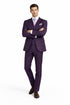 (54L Blazer) Purple Modern Fit Windowpane Jacket and Vest