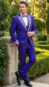 Men’s Purple and white sivler lapel Embellished Tuxedo Suit – Formal Wedding, Prom, and Gala Outfit Mardi Gras
