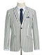 Black Striped Linen Blend Slim Fit 2 Button Blazer
