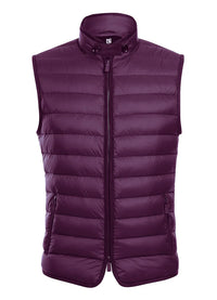 Berry Regular Classic Fit Goose Down Vest