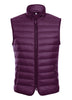 Berry Regular Classic Fit Goose Down Vest