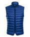 Blue Regular Classic Fit Goose Down Vest