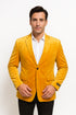 Alberto Nardoni Notch Lapel Velvet Velour Blazer