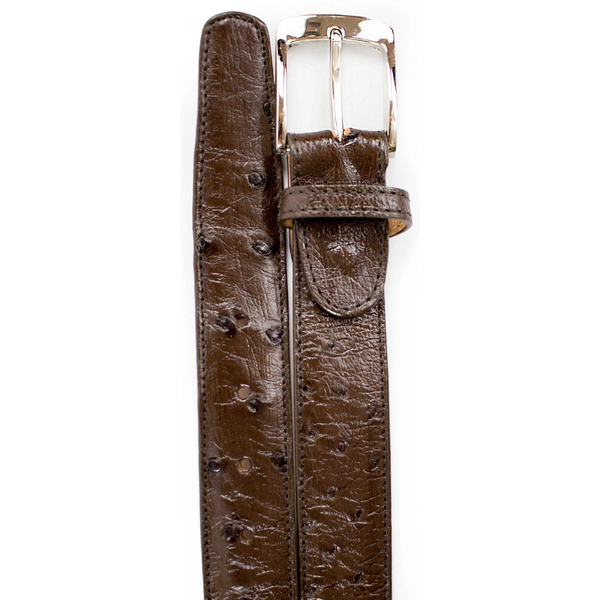 Belvedere Ostrich Quill Belt - Tabac Brown Luxury Shoe main image 0