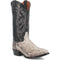Dan Post Men’s Manning Black and Natural Python 13” Round Toe Leather Boot