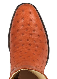 Botas de Avestruz Original Horma Puntal WW-29903