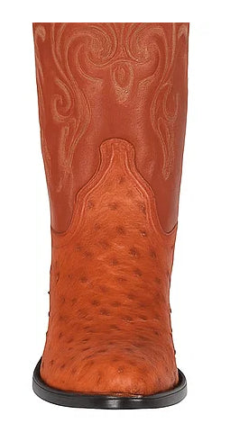 Botas de Avestruz Original Horma Puntal WW-29903