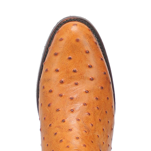 Dingo Brown Ostrich Print Snip Toe Leather Boots