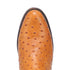 Dingo Brown Ostrich Print Snip Toe Leather Boots