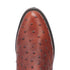Dingo Brown Lizard Print Leather Boots