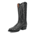 Dan Post Tempe Ostrich Boots - Full Quill Exotic Luxury