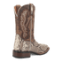 BRUTUS PYTHON BOOT