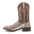 BRUTUS PYTHON BOOT