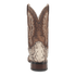 BRUTUS PYTHON BOOT