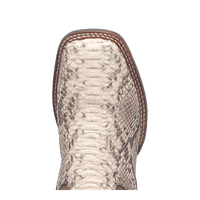BRUTUS PYTHON BOOT