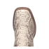 BRUTUS PYTHON BOOT