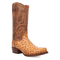 Dan Post Marco Full Quill Ostrich Boot - Luxury Western