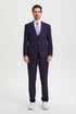 Men's Vested One Button Peak Lapel Stacy Adams Designer Suit in Eggplant