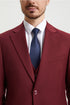 Men's Two Button Vested Stacy Adams Basic Designer Suit in Burgundy