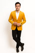 Alberto Nardoni Notch Lapel Velvet Velour Blazer