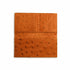 Full Ostrich Quill Checkbook Holder in Cognac