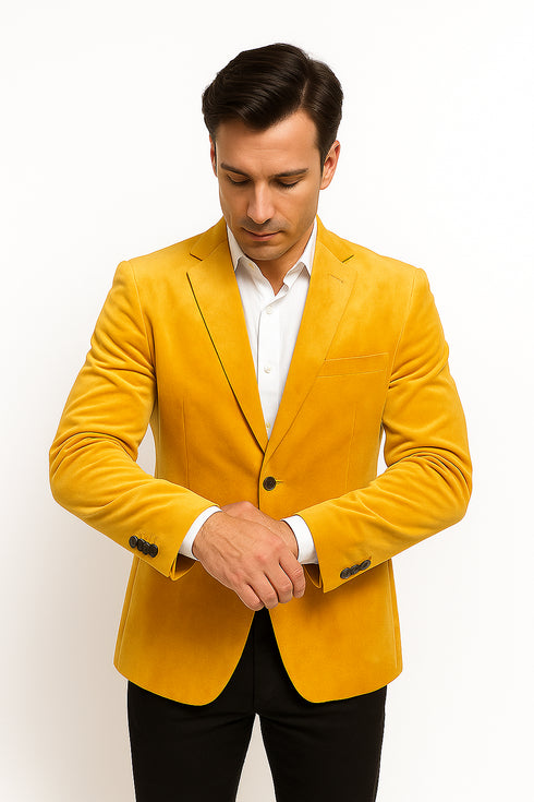 Alberto Nardoni Notch Lapel Velvet Velour Blazer