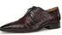 Giovane Fuscus Cap Toe Derby Burgundy Crocodile Shoes By Mezlan Made In Spain Brand