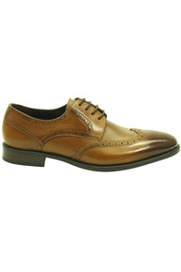 KS886-734 Carrucci Wingtip Oxford