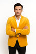 Alberto Nardoni Notch Lapel Velvet Velour Blazer