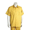 Men's 2 piece Sets short sleeve leisure set walking suit in gold tonal
