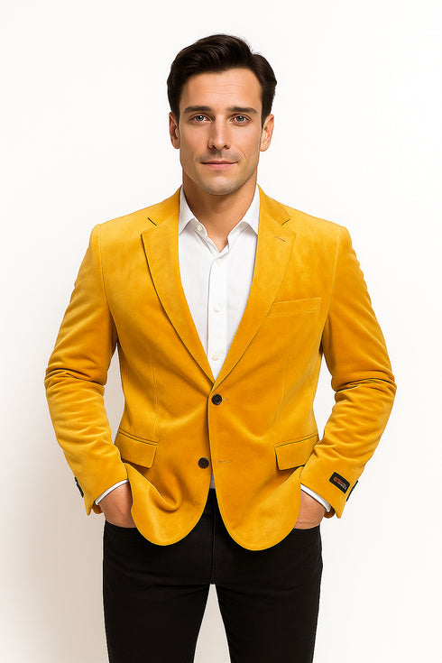Alberto Nardoni Notch Lapel Velvet Velour Blazer