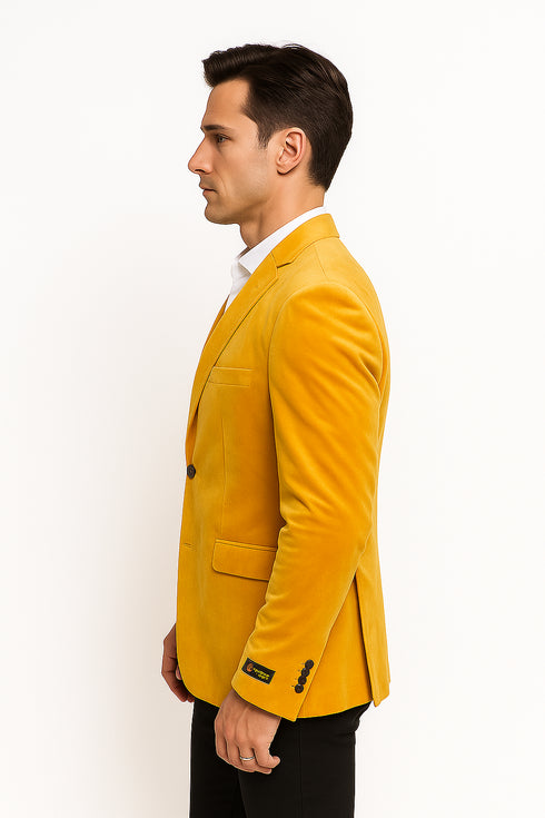 Alberto Nardoni Notch Lapel Velvet Velour Blazer
