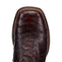 Dan Post Men’s Alamosa Black and Cherry Full Quill Ostrich Boots