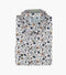 MCVAY DRESS SHIRT Spread Collar