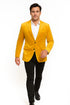 Alberto Nardoni Notch Lapel Velvet Velour Blazer