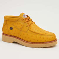 Zapato Avestruz Completo LAB-ZA0603