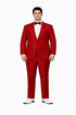 Adult Beetlejuice Wedding Wine Suit