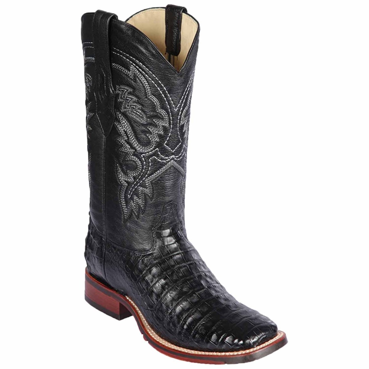 Cinto Casual de Cocodrilo Caiman Panza Original Color Cafe Lisboa - Los Altos Boots