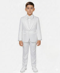 Boys 3 Piece Slim Fit Tuxedo - Paisley Design