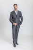 Grey Caravelli Suit - Designer Caravelli Jacket and Pants