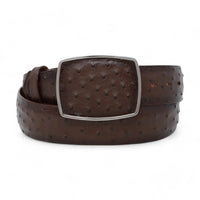 Cinto Avestruz Vaquero Difuminado CB - C11A03 - Los Altos Boots