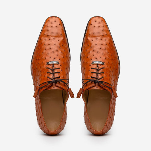 Marco Di Milano Criss Brandy Ostrich Quill Dress Shoe Oxfords