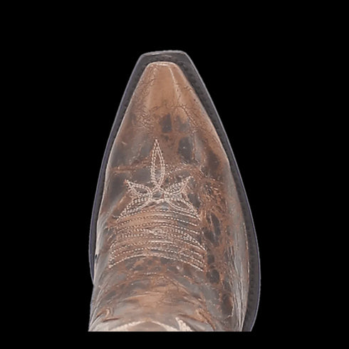 Dan Post Women's Jilted Snip Toe Leather Tall Boots - Brown