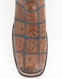 Ferrini Pinto - Patch Ostrich