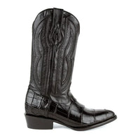 Ferrini Stallion - American Alligator