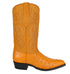 Los Altos Men's Buttercup Genuine Full Quill Ostrich Boots